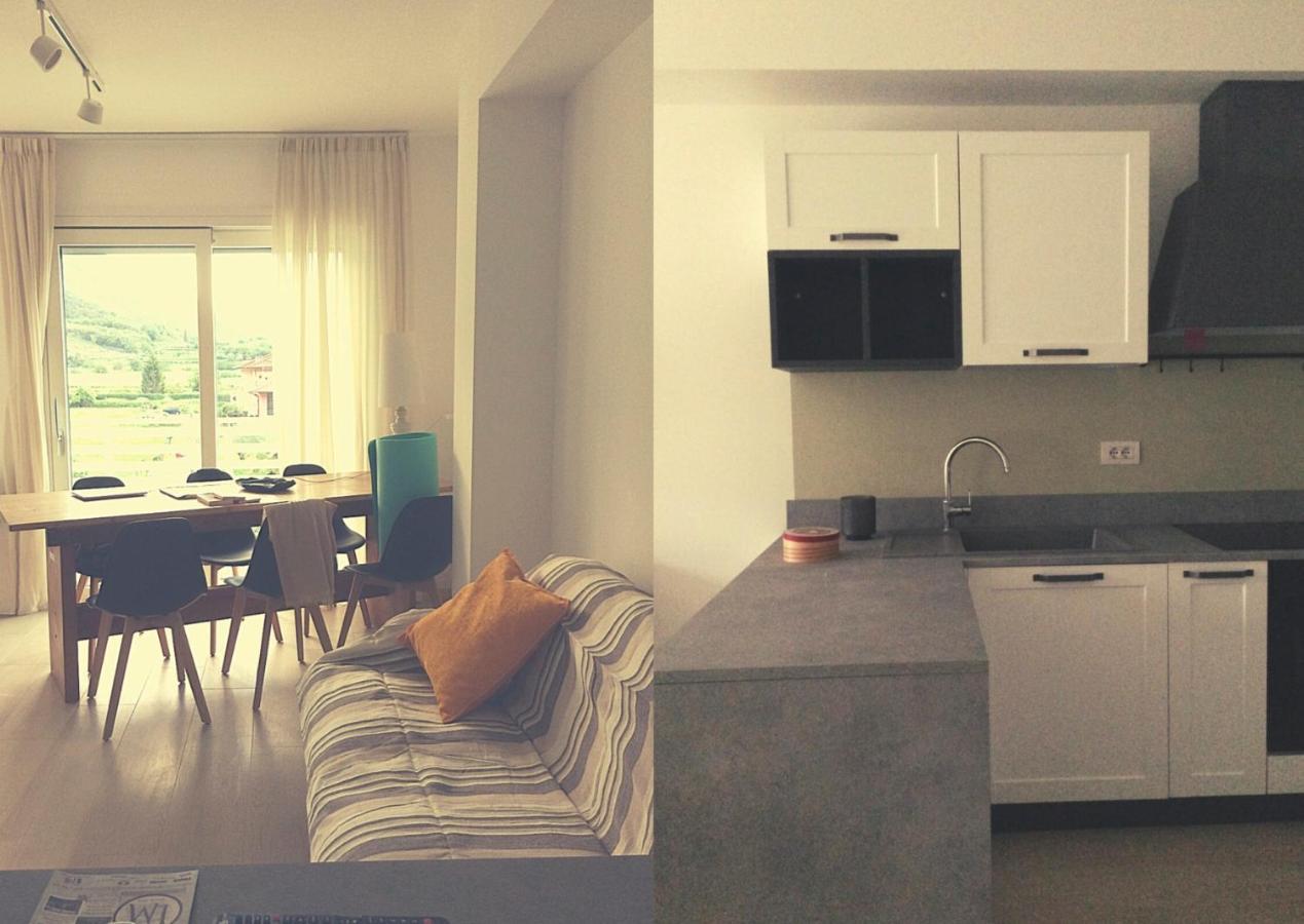 Amarillys And In Casaclima